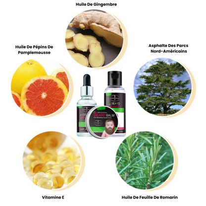 Kit de Croissance pour Barbe – Huile, Crème & Shampoing